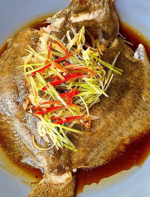 多寶魚圖片 龍魚論壇 第15張 多寶魚圖片 多寶魚圖片 龍魚論壇 第15張