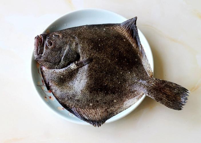 多寶魚圖片 龍魚論壇 第21張 多寶魚圖片 多寶魚圖片 龍魚論壇 第21張