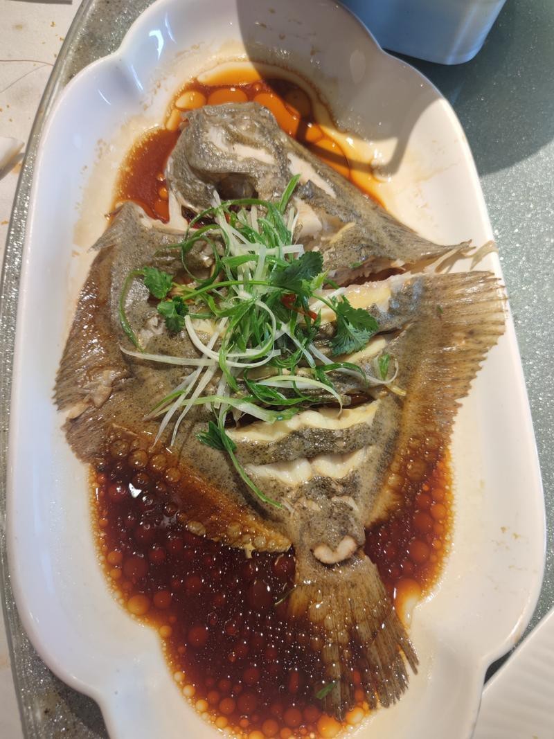 多寶魚圖片 龍魚論壇 第17張 多寶魚圖片 多寶魚圖片 龍魚論壇 第17張