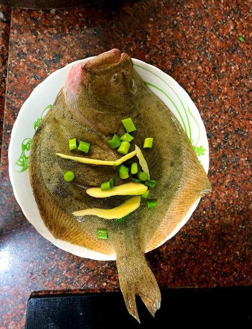 多寶魚圖片 龍魚論壇 第22張 多寶魚圖片 多寶魚圖片 龍魚論壇 第22張
