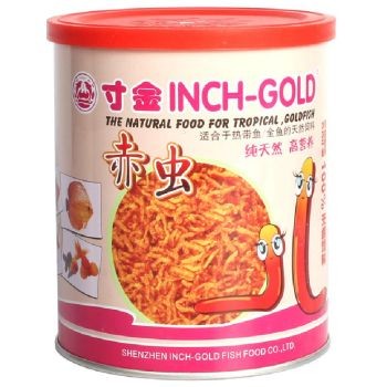 臺州龍魚魚缸生產廠家：臺州龍魚魚缸，打造家居水族藝術的完美選擇