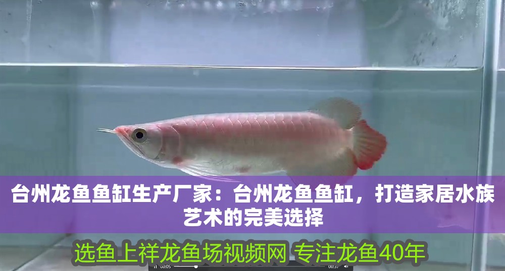 臺州龍魚魚缸生產廠家：臺州龍魚魚缸，打造家居水族藝術的完美選擇