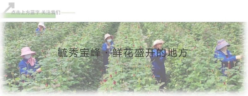 如何避免在水長城遇到極端天氣？