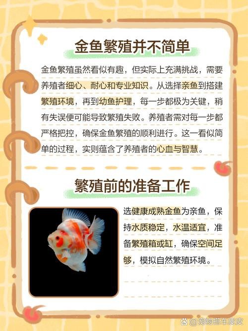 皇宮金龍魚