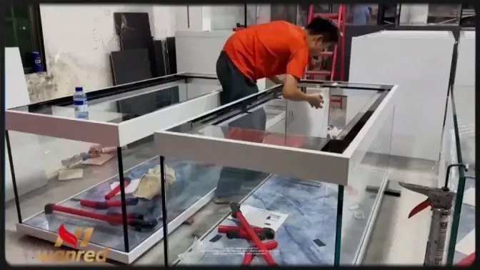 推薦一些高清的龍魚視頻資源