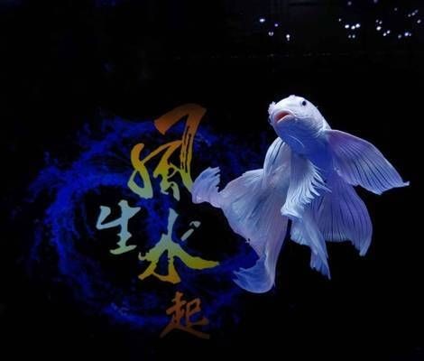 魚缸底濾魚缸換濾材是一項重要的養護工作工作原理：底濾魚缸換濾材應該注意哪些問題