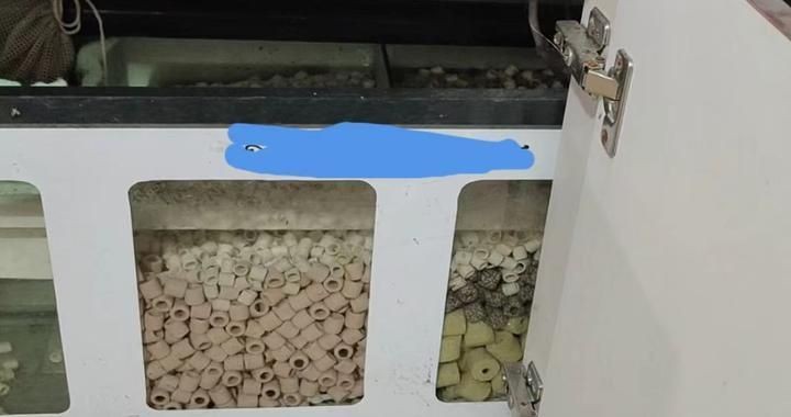 魚缸底濾魚缸換濾材是一項重要的養護工作工作原理：底濾魚缸換濾材應該注意哪些問題