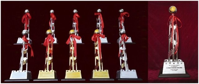 長城杯金獎有哪些獲獎案例？