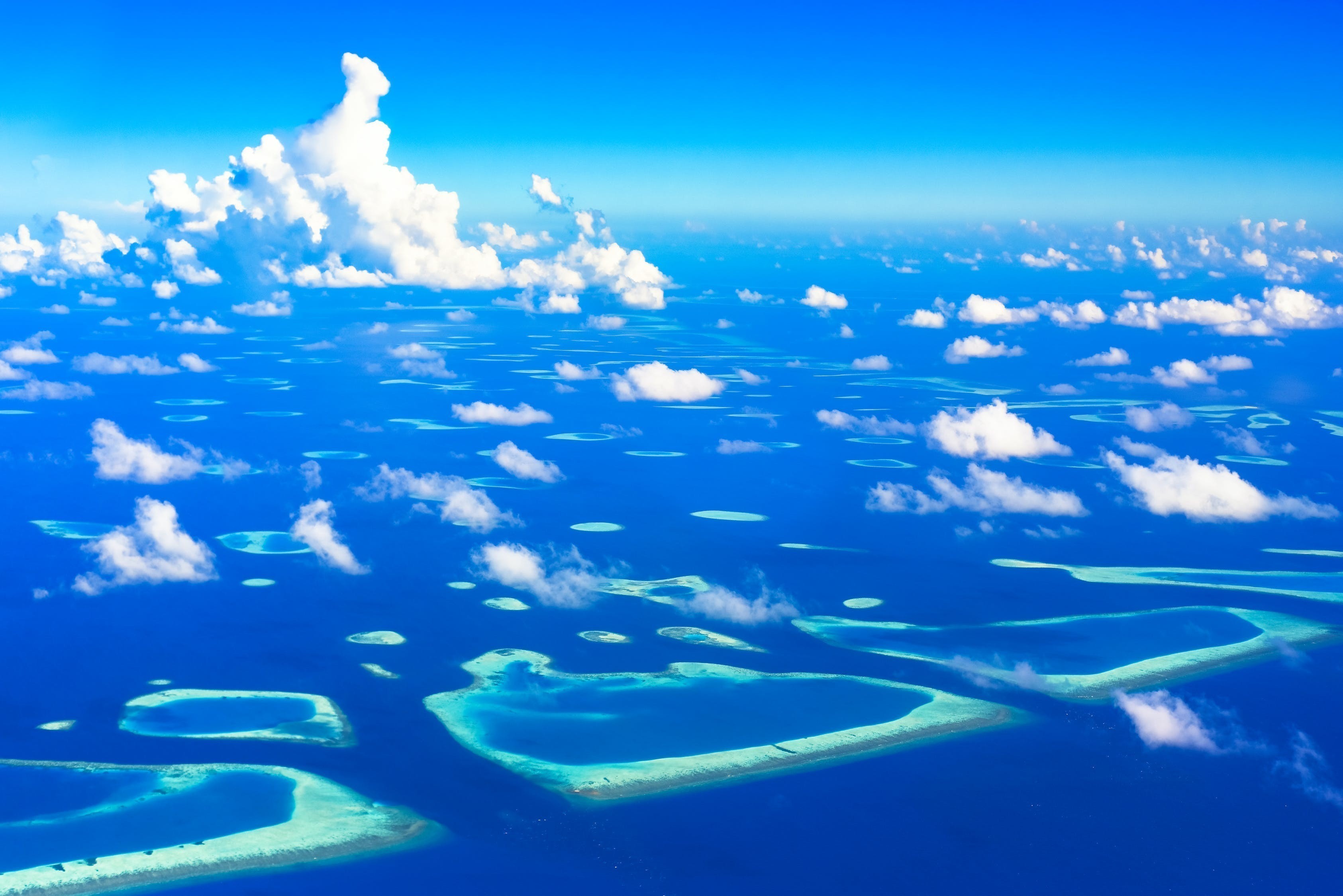 海南東遠(yuǎn)海洋科技有限公司（海南東遠(yuǎn)海洋科技有限公司怎么樣）