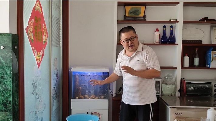 銀龍魚身上出現紅斑怎么辦（銀龍魚身上出現紅斑怎么辦圖片）