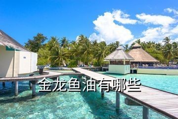 金龍魚所有品種介紹（紅尾金龍魚品種鑒別技巧金龍魚品種鑒別技巧）