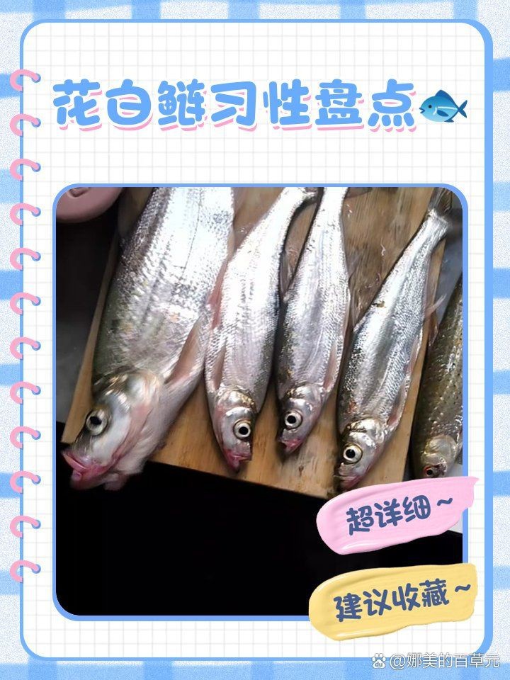 花白鰱水溫多少度不進(jìn)食