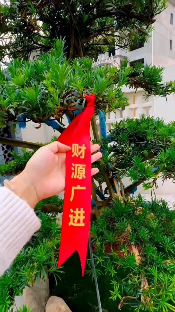 聽風，悅耳；賞魚，悅目