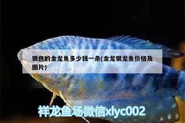 廣州市花都區(qū)新華翡翠水族館（廣州市花都區(qū)新華翡翠水族館地址）