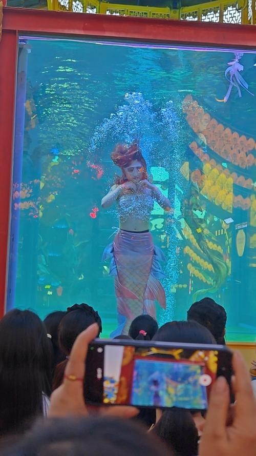 寧波海洋世界有哪些特色表演？