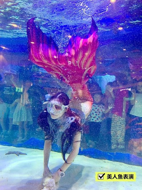 寧波海洋世界有哪些特色表演？
