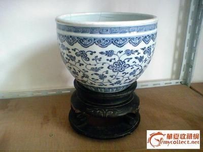 上海觀賞魚進口商家有哪些品牌好賣的上海觀賞魚進口商家有哪些,上海觀賞魚市場 觀賞魚百科 第1張 上海觀賞魚進口商家有哪些品牌好賣的上海觀賞魚進口商家有哪些,上海觀賞魚市場 上海觀賞魚進口商家有哪些品牌好賣的上海觀賞魚進口商家有哪些,上海觀賞魚市場 觀賞魚百科 第1張
