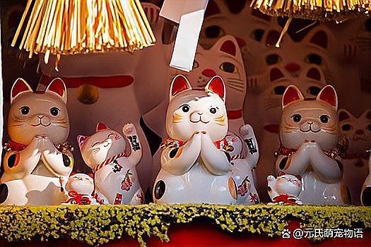 龍貓有哪些獨特的辟邪行為？