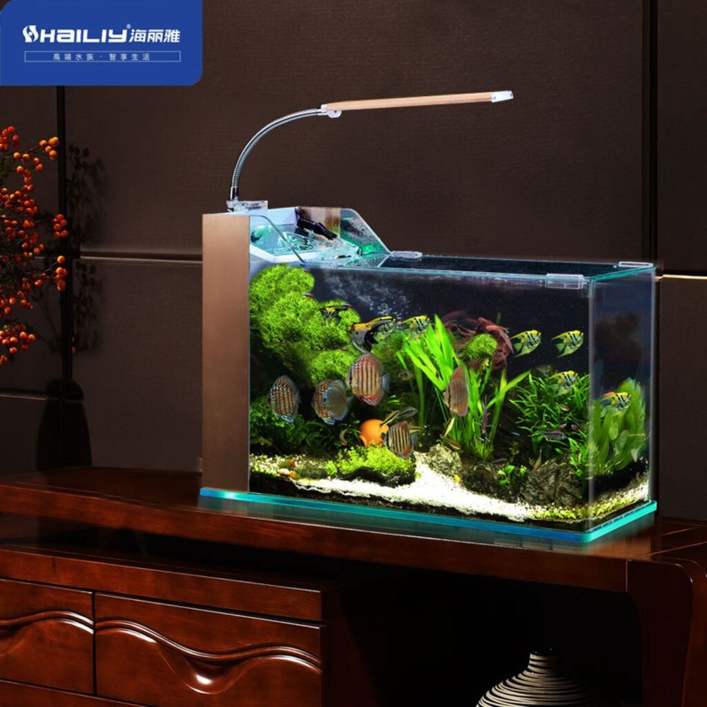 海麗雅魚缸圖片大全：海麗雅魚缸圖片大全包括各類款式的魚缸展示和搭配技巧