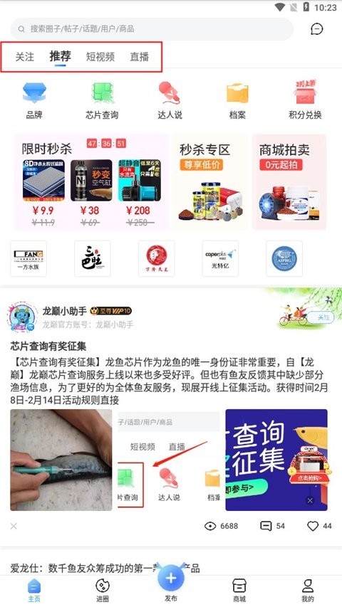 龍魚之巔APP如何下載？