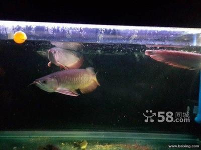 會澤越美水族館（會澤水上樂園）