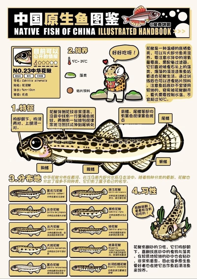 中國觀賞魚2005 2025長城杯龍魚大賽 第5張 中國觀賞魚2005 中國觀賞魚2005 2025長城杯龍魚大賽 第5張