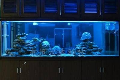 廣州魚缸定做的設計流程是關鍵水族箱養護與疾病防治：廣州魚缸定做公司