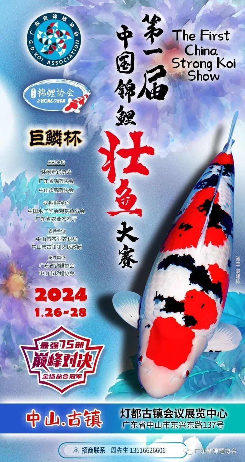 介紹一下錦鯉比賽的規則