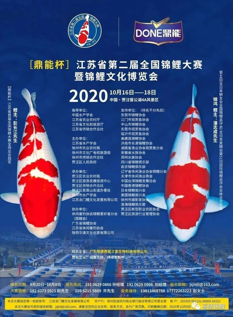 介紹一下錦鯉比賽的規則