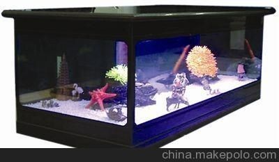 高端魚缸定制圖片（高端魚缸定制圖片分析）
