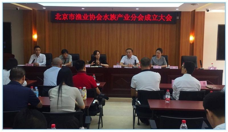 中國龍魚協會的會長是誰？ 中國龍魚協會的會長是誰？ 2025長城杯龍魚大賽 第4張