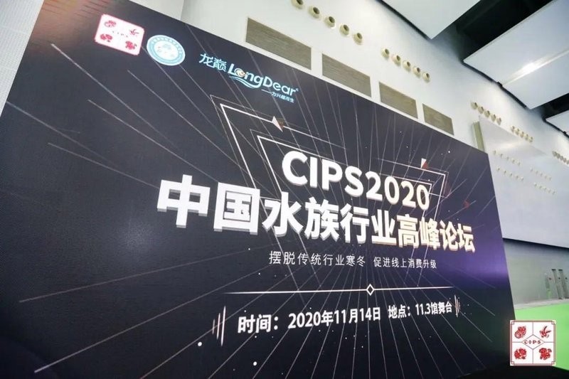 中國龍魚協會的會長是誰？ 中國龍魚協會的會長是誰？ 2025長城杯龍魚大賽 第8張