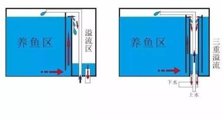 底濾魚缸的水位忽高忽低怎么辦:底濾魚缸水位升高怎么辦 魚缸百科 第1張 底濾魚缸的水位忽高忽低怎么辦:底濾魚缸水位升高怎么辦 底濾魚缸的水位忽高忽低怎么辦:底濾魚缸水位升高怎么辦 魚缸百科 第1張