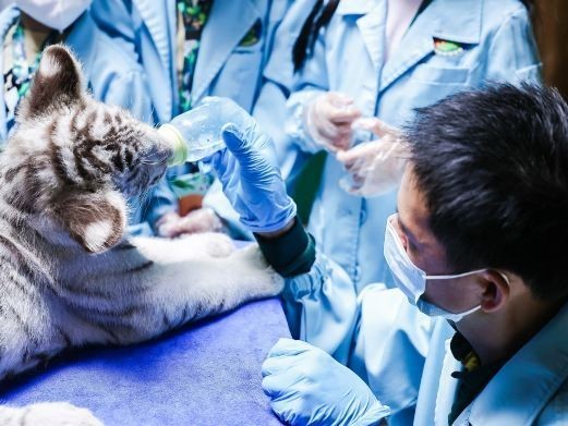 長隆野生動物園開放時間是？