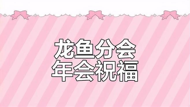 中國龍魚協會副會長的任期是多久？