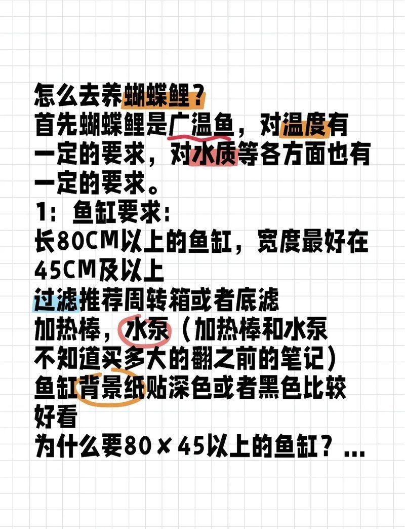 蝴蝶鯉最佳配魚