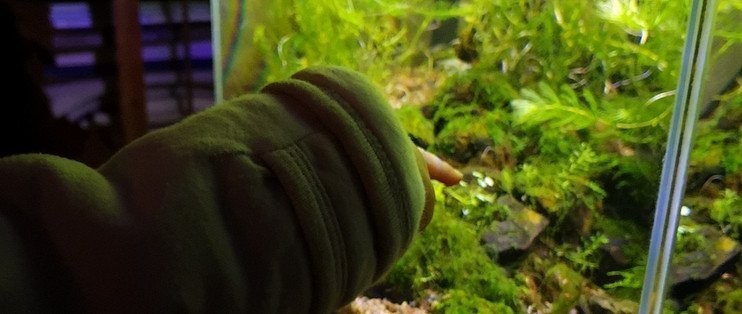有哪些品牌的水族箱適合長(zhǎng)城造景？