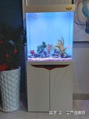 有哪些品牌的水族箱適合長(zhǎng)城造景？