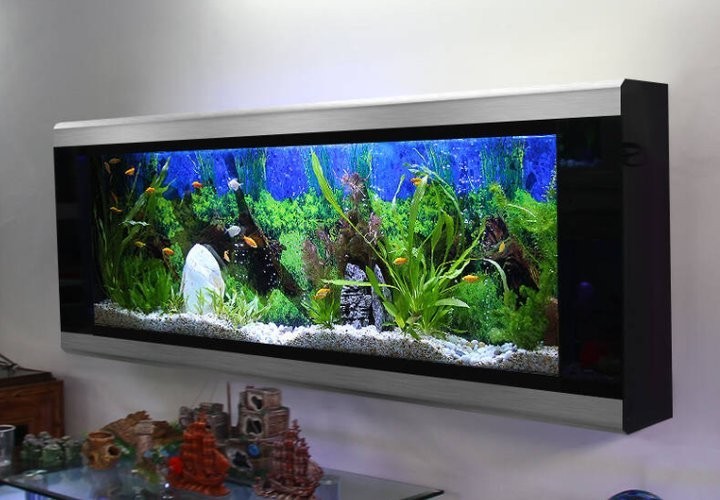 有哪些品牌的水族箱適合長(zhǎng)城造景？