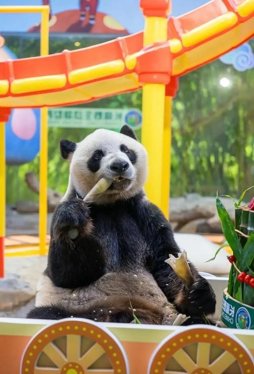 長隆野生動物園有哪些必去的景點？