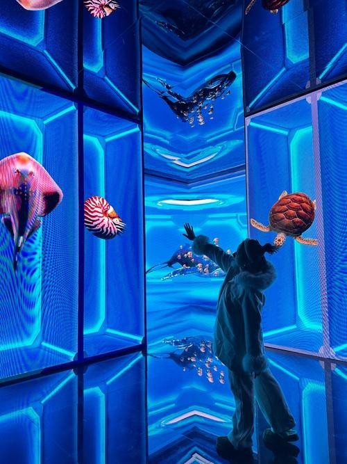 如何獲取西安龍魚展會的最新日程？