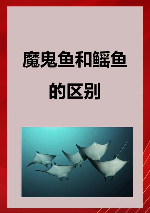 鰩魚和魔鬼魚圖片對比