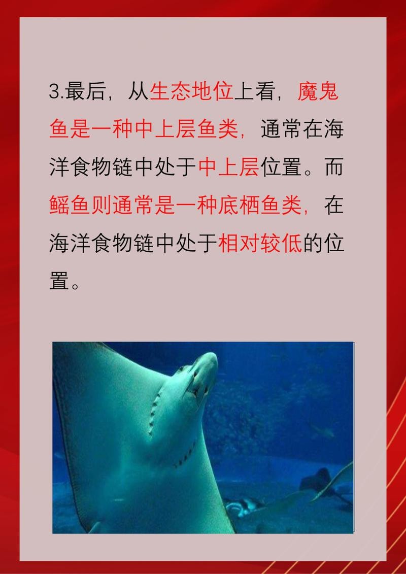 鰩魚和魔鬼魚圖片對比