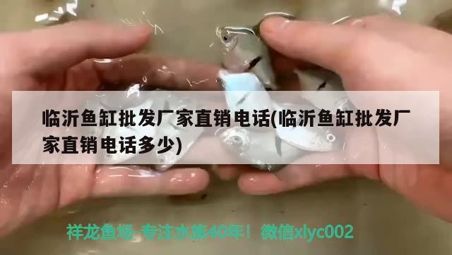 銀龍魚(yú)能在魚(yú)缸繁殖嗎：銀龍魚(yú)可以放魚(yú)塘嗎