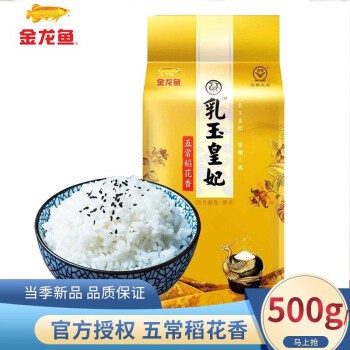 20cm的銀龍魚吃小魚可以嗎(20cm銀龍能吃多大的活魚)
