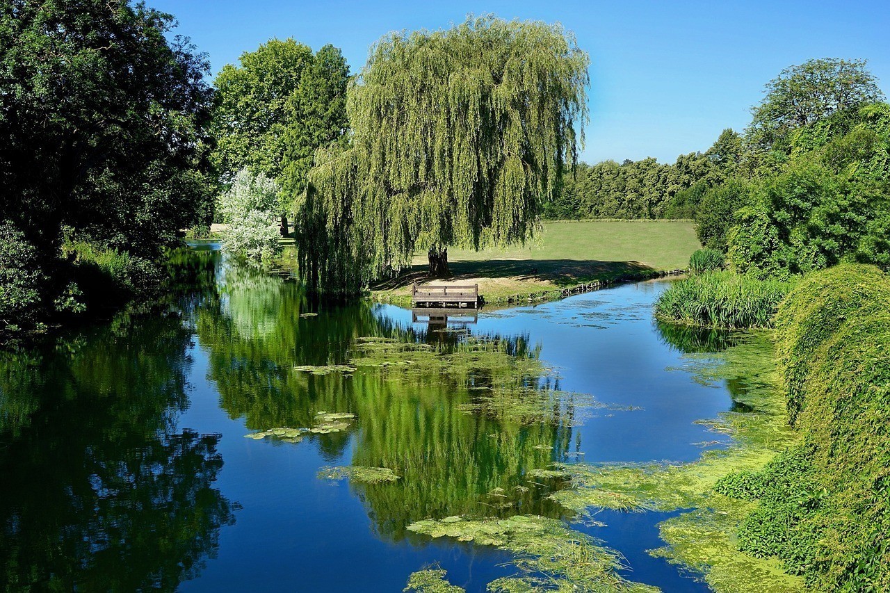武漢東湖生態旅游風景區綠庭花卉經營部（武漢東湖生態旅游風景區綠庭花卉經營部電話）