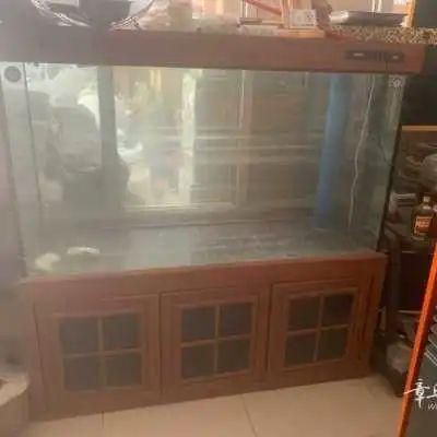 哈爾濱魚缸市場的價格趨勢哈爾濱魚缸市場的價格趨勢：哈爾濱二手魚缸選擇