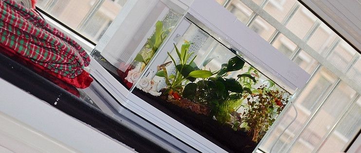色彩魚缸怎么畫：色彩斑斕的魚缸繪畫技巧和技巧和技巧和技巧和技巧 色彩魚缸怎么畫：色彩斑斕的魚缸繪畫技巧和技巧和技巧和技巧和技巧 魚缸百科 第3張
