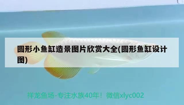 盤錦市興隆臺(tái)區(qū)旺鑫水族館（盤錦市興隆臺(tái)區(qū)旺鑫水族館電話）