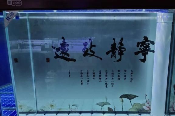 魚缸水質管理的誤區:換濾材后魚缸水模糊怎么辦? 魚缸百科 第1張 魚缸水質管理的誤區:換濾材后魚缸水模糊怎么辦? 魚缸水質管理的誤區:換濾材后魚缸水模糊怎么辦? 魚缸百科 第1張